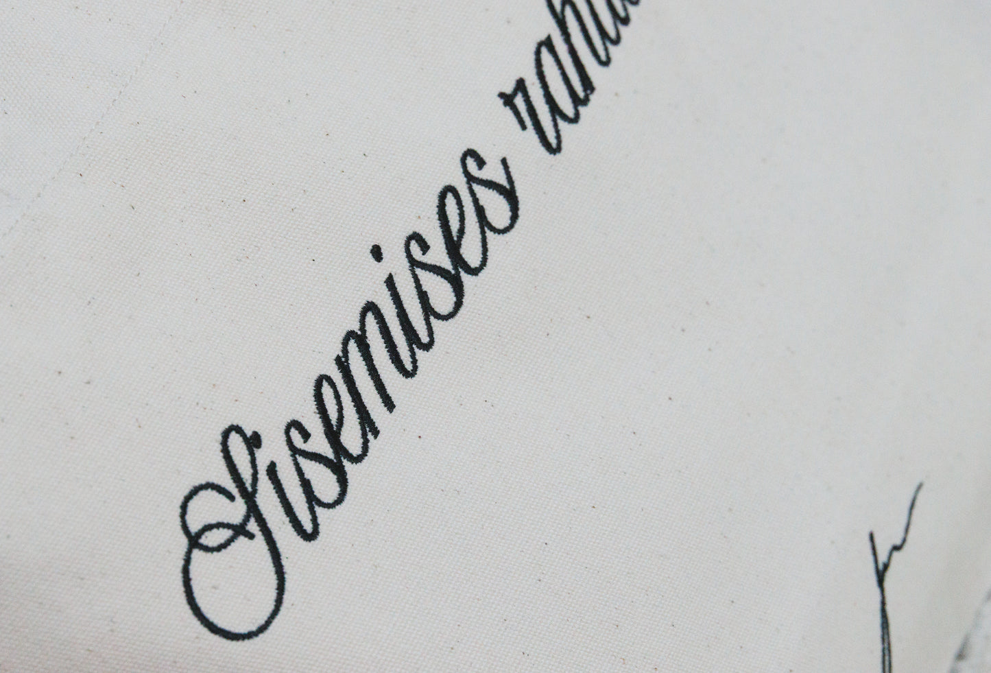 KANVASKOTT SKRIPTFONDIGA "SISEMISES RAHULOLUS"